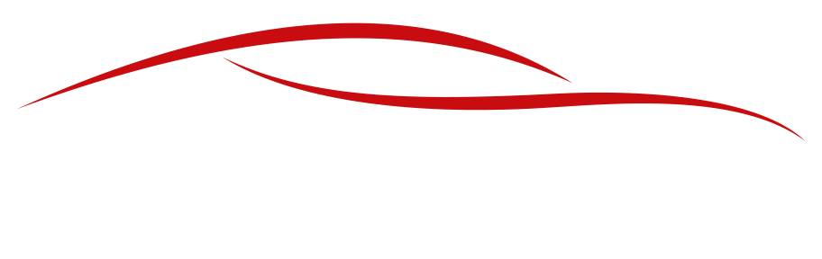 logo friedrich motorsport